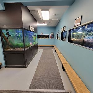 Ecomuseum Zoo - More exhibits