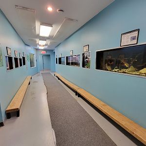 Ecomuseum Zoo - Rest of herp exhibits