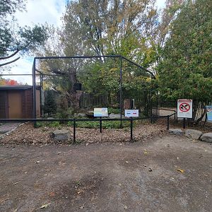 Ecomuseum Zoo - Barred owl