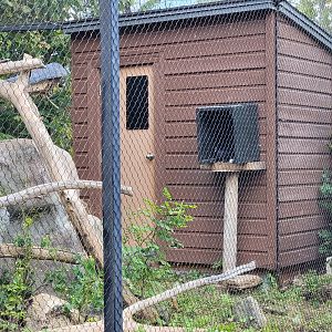 Ecomuseum Zoo - Pigeon in empty/unsigned bird exhibit
