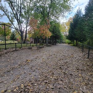 Ecomuseum Zoo - Path