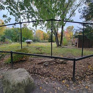 Ecomuseum Zoo - Whitetail deer