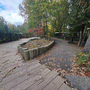 Ecomuseum Zoo - Path