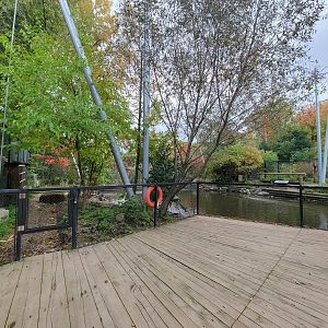 Ecomuseum Zoo - Aviary