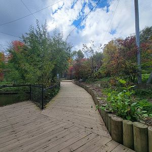 Ecomuseum Zoo - Aviary