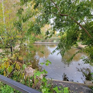 Ecomuseum Zoo - Aviary