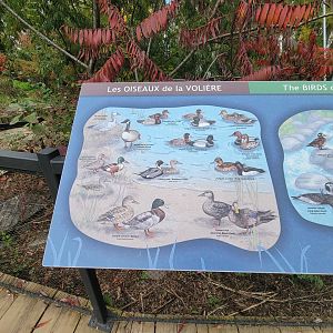 Ecomuseum Zoo - Aviary