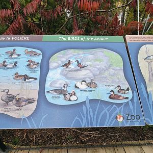 Ecomuseum Zoo - Aviary