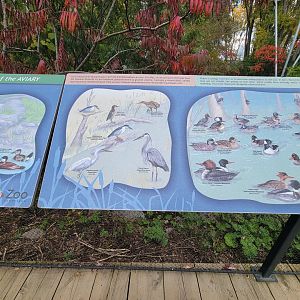 Ecomuseum Zoo - Aviary, birds that are sometimes present/they hope to add