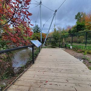Ecomuseum Zoo - Aviary