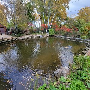 Ecomuseum Zoo - Aviary