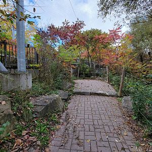 Ecomuseum Zoo - Aviary