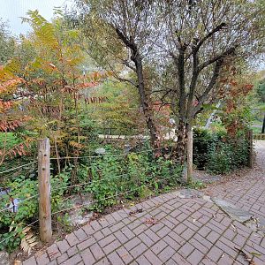 Ecomuseum Zoo - Aviary