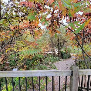 Ecomuseum Zoo - Aviary