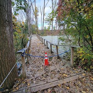 Ecomuseum Zoo - Other end of closed path to red foxes