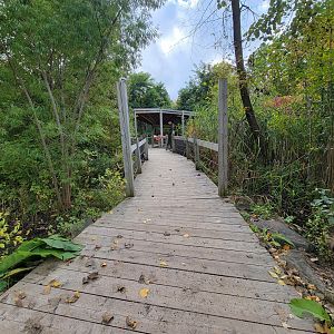 Ecomuseum Zoo - Path to outdoor turtles