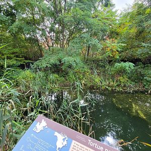 Ecomuseum Zoo - Turtle pond