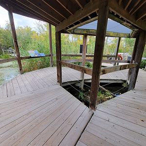Ecomuseum Zoo - Turtle pond boardwalk