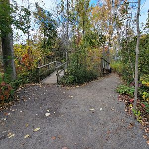 Ecomuseum Zoo - Path