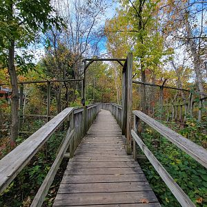 Ecomuseum Zoo - Wood turtle outdoor area