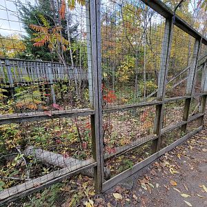 Ecomuseum Zoo - Wood turtle outdoor area