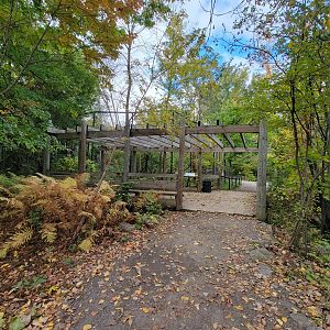 Ecomuseum Zoo - Pekan/Fisher viewing area