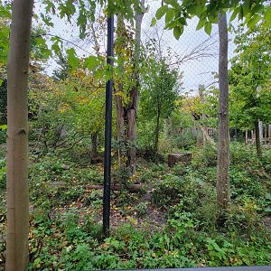 Ecomuseum Zoo - Pekan/Fisher