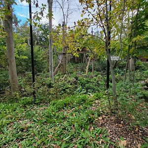 Ecomuseum Zoo - Pekan/Fisher