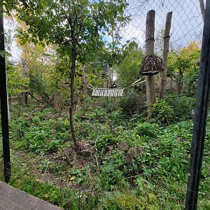 Ecomuseum Zoo - Pekan/Fisher