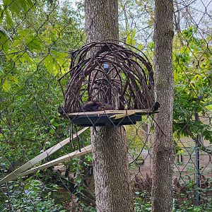 Ecomuseum Zoo - Pekan/Fisher