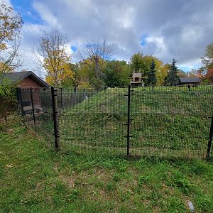 Ecomuseum Zoo - Huge Arctic fox exhibit