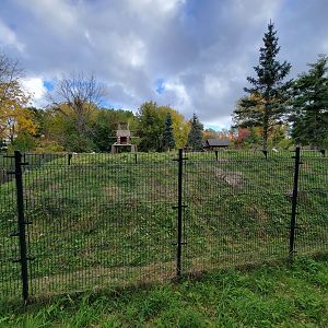 Ecomuseum Zoo - Huge Arctic fox exhibit