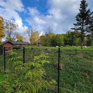 Ecomuseum Zoo - Huge Arctic fox exhibit