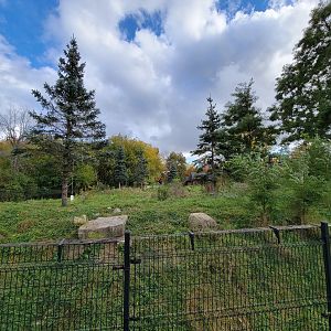 Ecomuseum Zoo - Huge Arctic fox exhibit