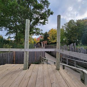 Ecomuseum Zoo - Gray wolf viewing area