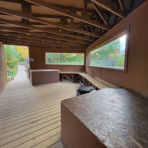 Ecomuseum Zoo - Gray wolf viewing area