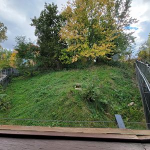 Ecomuseum Zoo - Gray wolf second exhibit