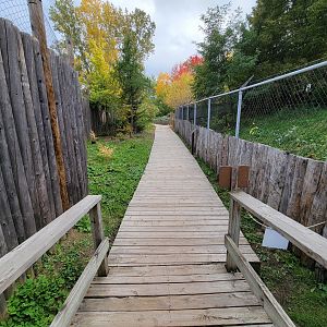 Ecomuseum Zoo - Path in front of second gray wolf exhibit