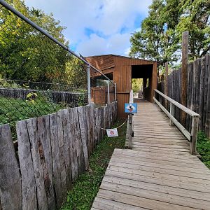 Ecomuseum Zoo - Looking back at gray wolf viewing platform