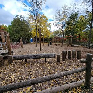 Ecomuseum Zoo - Playground