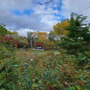 Ecomuseum Zoo - View of aviary from other side of pond