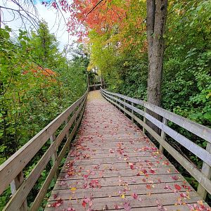 Ecomuseum Zoo - Path