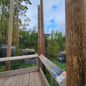Ecomuseum Zoo - Golden and bald eagles