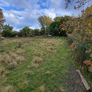 Ecomuseum Zoo - Whitetail deer