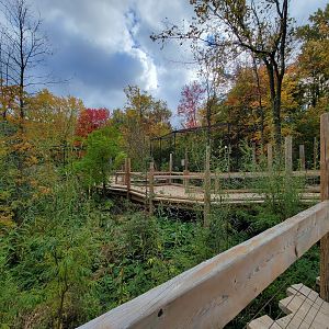 Ecomuseum Zoo - Snowy owl