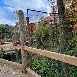Ecomuseum Zoo - Snowy owl