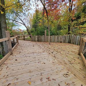 Ecomuseum Zoo - Path