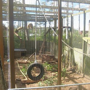 Fun-Park - Coati exhibit