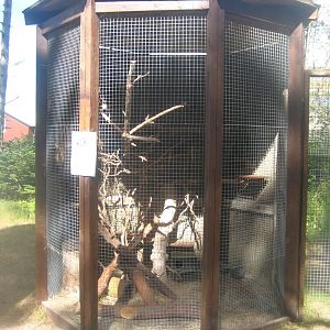 Fun-Park - Chinchilla exhibit