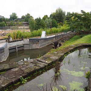 The Kingdom of Ganesha - Rice paddies, Water buffalo pool, Walkway and tunnel to new islands, 2022-09-15